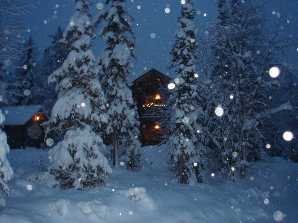 Yllaeshilla Cottage Äkäslompolo Szoba fotó